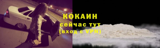 герыч Каменногорск