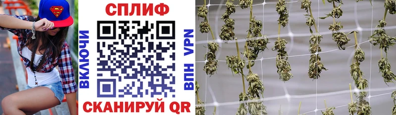 Купить закладки  Коряжма  Бошки Шишки Bruce Banner 